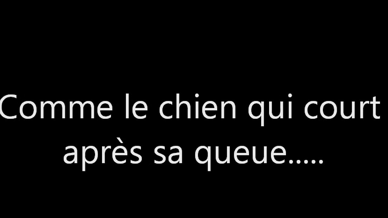 15-06-24 Le chien qui court après sa queue