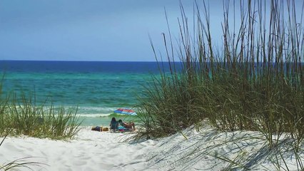 RELAXING MUSIC OCEAN Choose STUDY MUSIC Classical Piano Mix Playlist Wave Sounds Florida Beaches 2