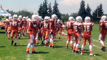 PIELES ROJAS AAA 21 JUNIO 2015