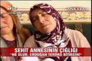 şehit annesi erdoğan bu işi çözecek anne