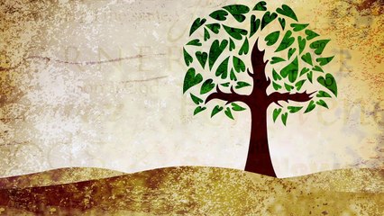 Meant to Be Theme Song (with Lyrics)