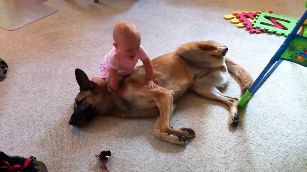 Good Dog