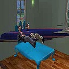 Sims 2: What really happens during a "WooHoo"