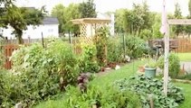 Pepsi Refresh Entry-FILL Suburbia with Organic Vegetable Gardens!