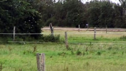 DANSEUSE DE KACY ET DIABLO QUI TOURNE SUR STE MARIE