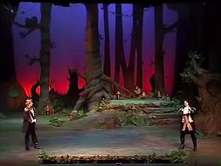 Into the Woods - Agony