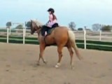 Marley Jumping  Video - My 6 year old doing Cross Rails
