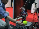 Smau Business Bologna 2009 - IT Robotics - Omnidirectional Vision on a Humanoid Robot