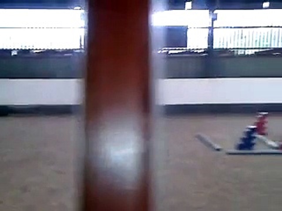 Shaun's Horse Riding