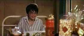 Harry Potter parodie - Harry seš debil