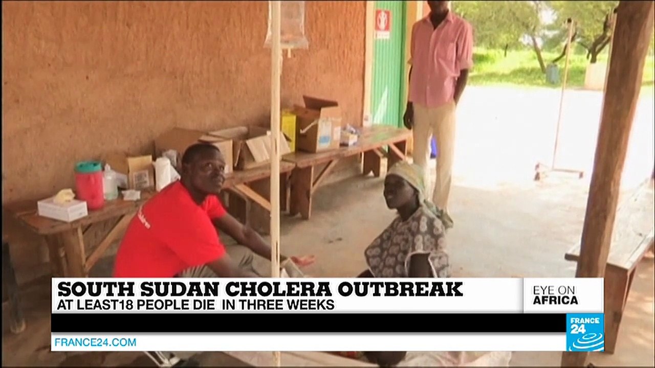 South Africa: Judge suggests charging government over Bashir flight