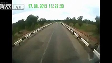 A stupid Drunk Bus Driver Killed Many Sheeps