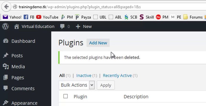 Difference between Paid and Free WordPress Plugins