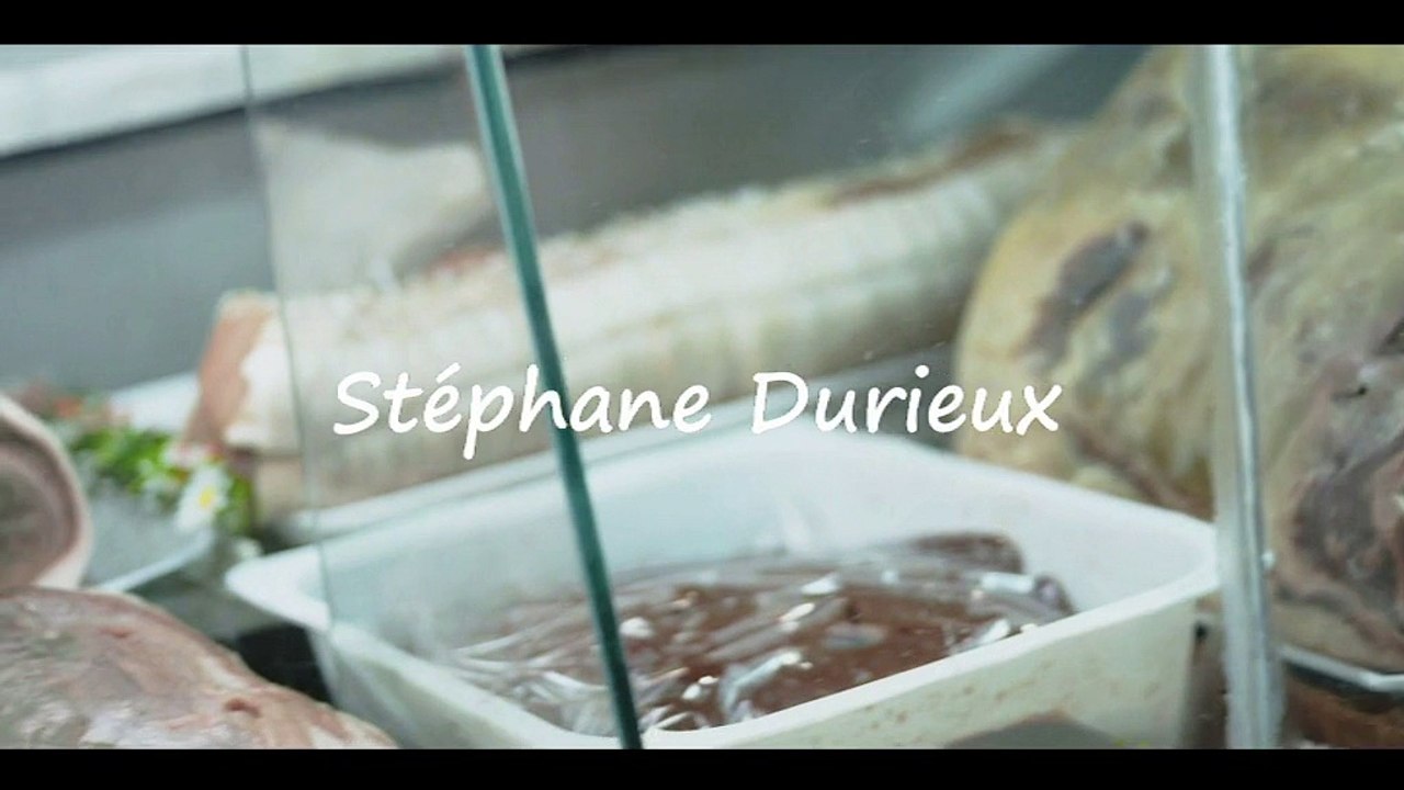 Stéphane Durieux démo 2015