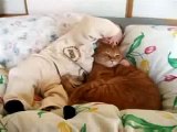 gatto e bimbo