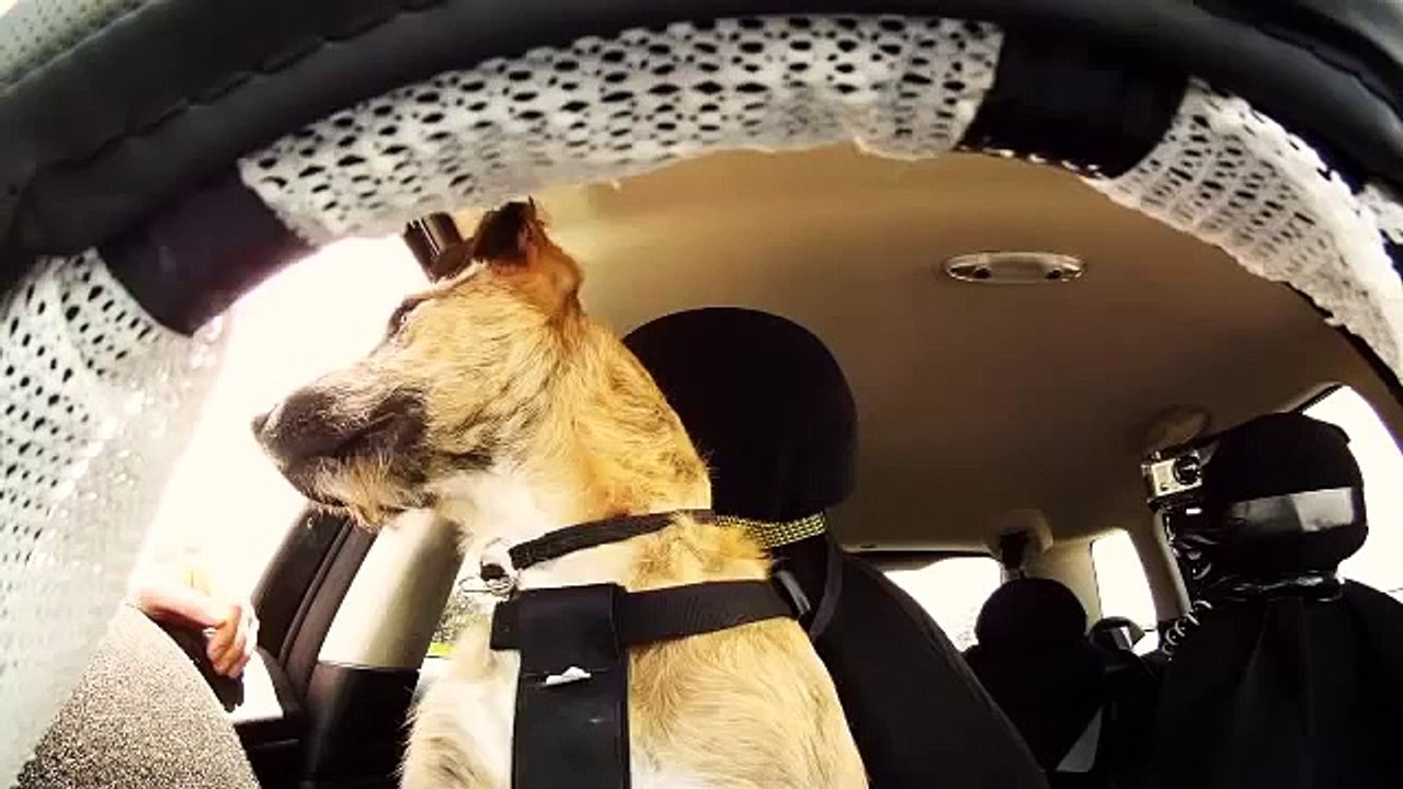 Stage 05 - Training In The Car