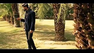 Dil De Nairay - Arslan Aslam - Full Video Song - Video Dailymotion
