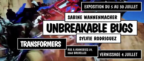 Transformers exposition Sabine Wannenmacher, Sylvie Rodriguez 4 juillet 2015