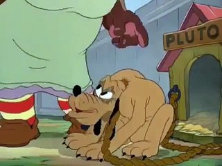 Disney Junior Pluto Pantry Pirate