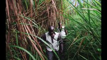 LE PAYS AUX MILLES MONTAGNES - Vaccination dans l'Est de la République démocratique du Congo