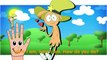 Finger Family Collection wander over yonder Cartoon Animation Nursery Rhymes For Children