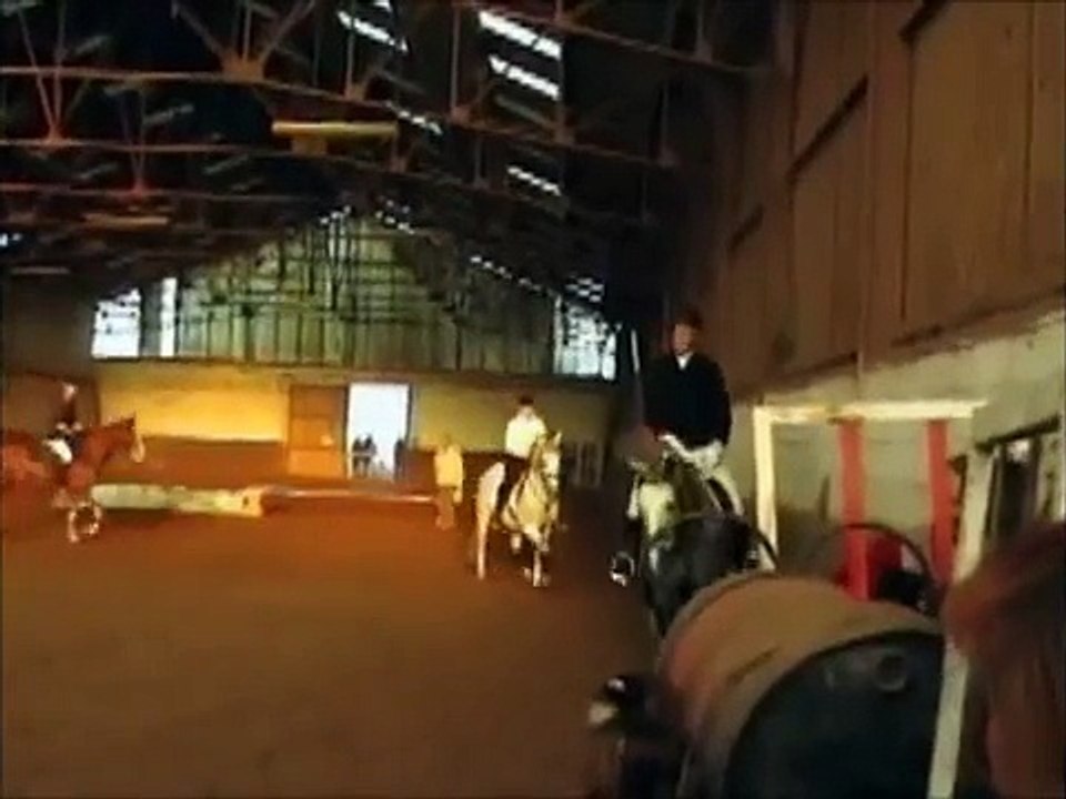 Carrousel d'obstacle à 8 chevaux