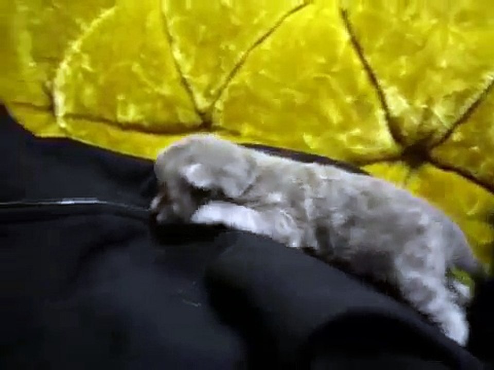 Some Things Are Too Beautiful For This World