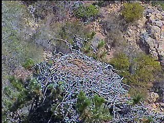 Good to See You Again!