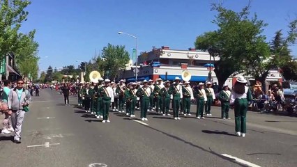 Lawrence Cook Middle School Band  - Apple Blossom Parade 2015