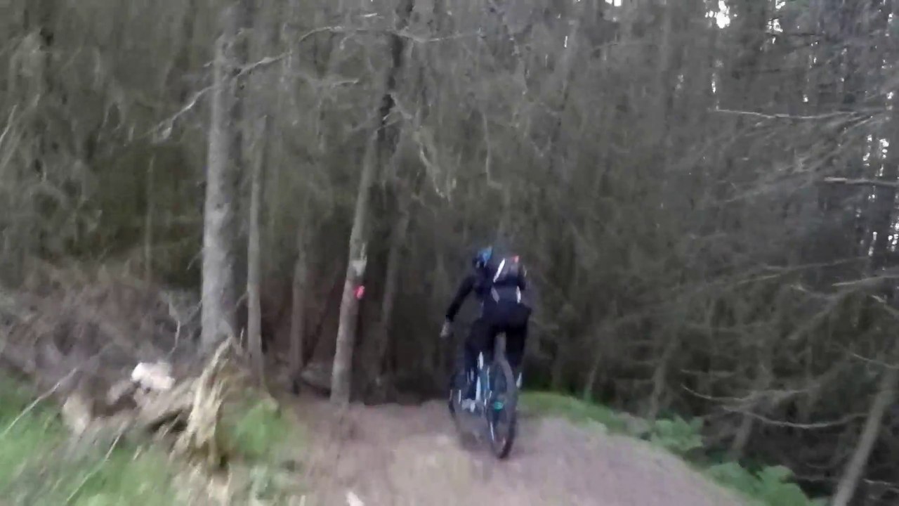 Pitmedden Forest