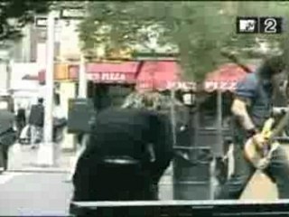 40 below summer - self medicate