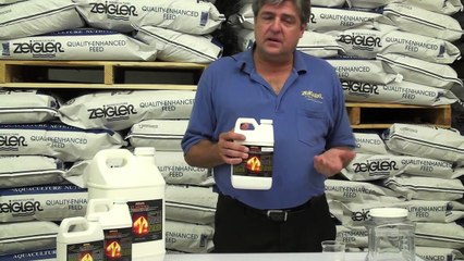 EZ Artemia™ - Complete Artemia Replacement