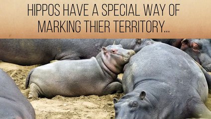 11 Creepy Facts About Cute Animals