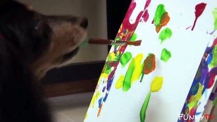 Dogs Performing Artistic Tricks' Compilation 2015 - FunnyTV