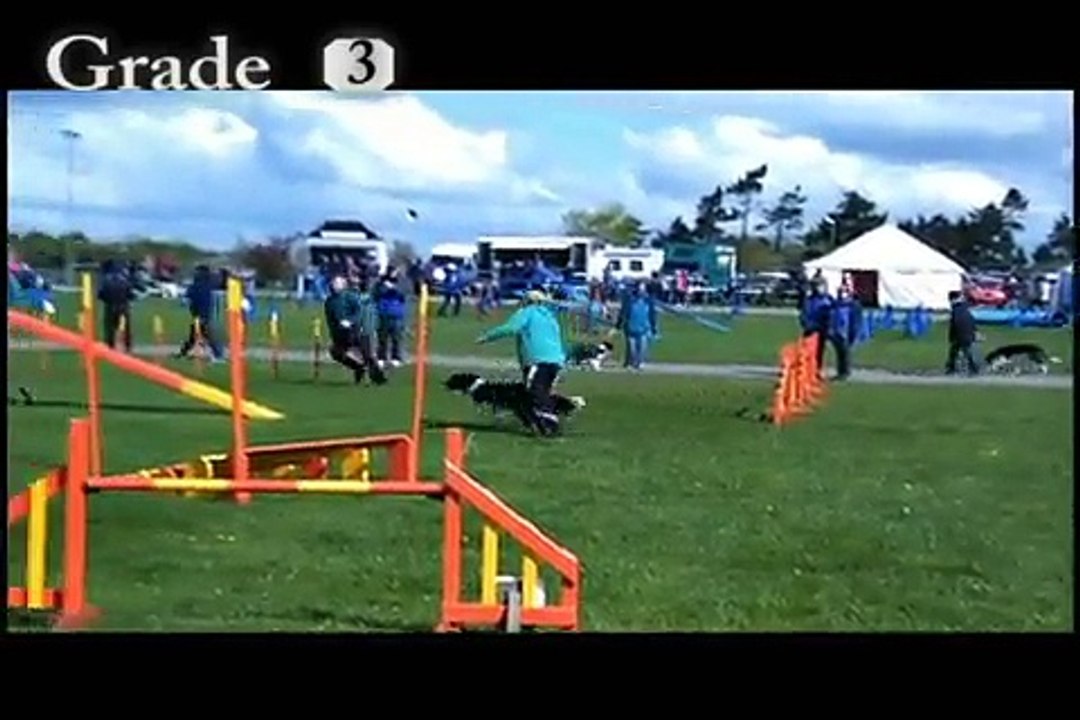 Speedy agility: Competitions 2009/2010