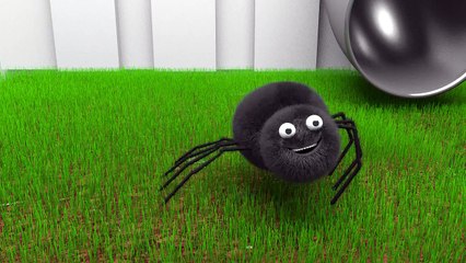 The Itsy Bitsy Spider