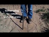 Soil Sampling Procedures for Field Crops