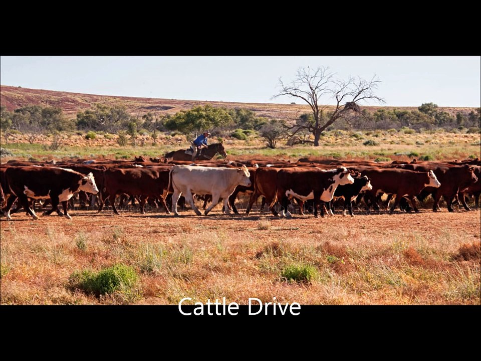 Lee Kernaghan - Three Chain Road