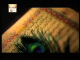 Shane Ramazan/ Majestic Ramadan by Amjad Shabri on ARY QTV - Official