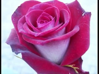 Cascada Another You [ lyrics ]