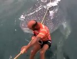 Surfer sur un requin-baleine - Dingue
