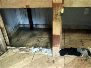 Aquário 1100 litros