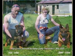 Figo von der Orangerie