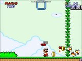 Super Mario Flash 2 Custom Level: Find the Water