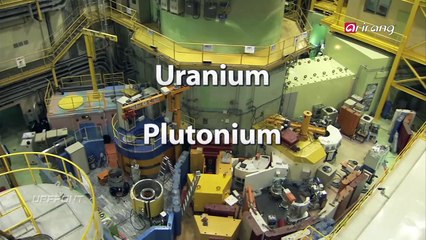Changes after Fukshima nuclear disasater