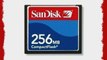 SanDisk 256 MB Compact Flash Card (Bulk)