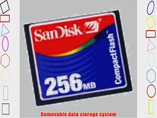 SanDisk 256 MB CompactFlash Card