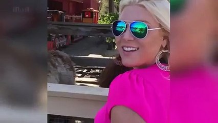 what llama did when a woman tries to give a kiss funny video