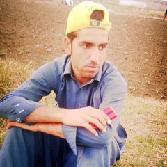 amjid wafa 0331 9068395