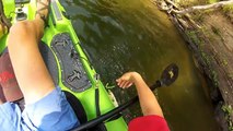 GOPRO: Kayak Fishing For Largemouth Bass